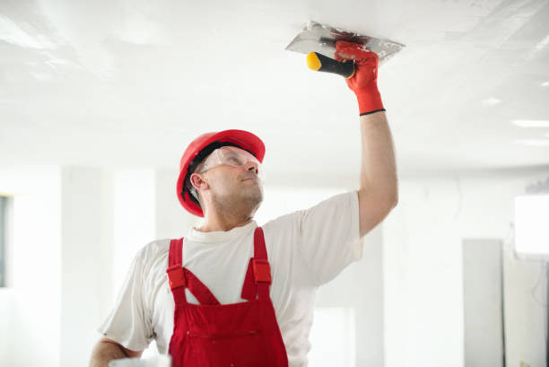 Professional Dry wall and painting in Jamesport, NY